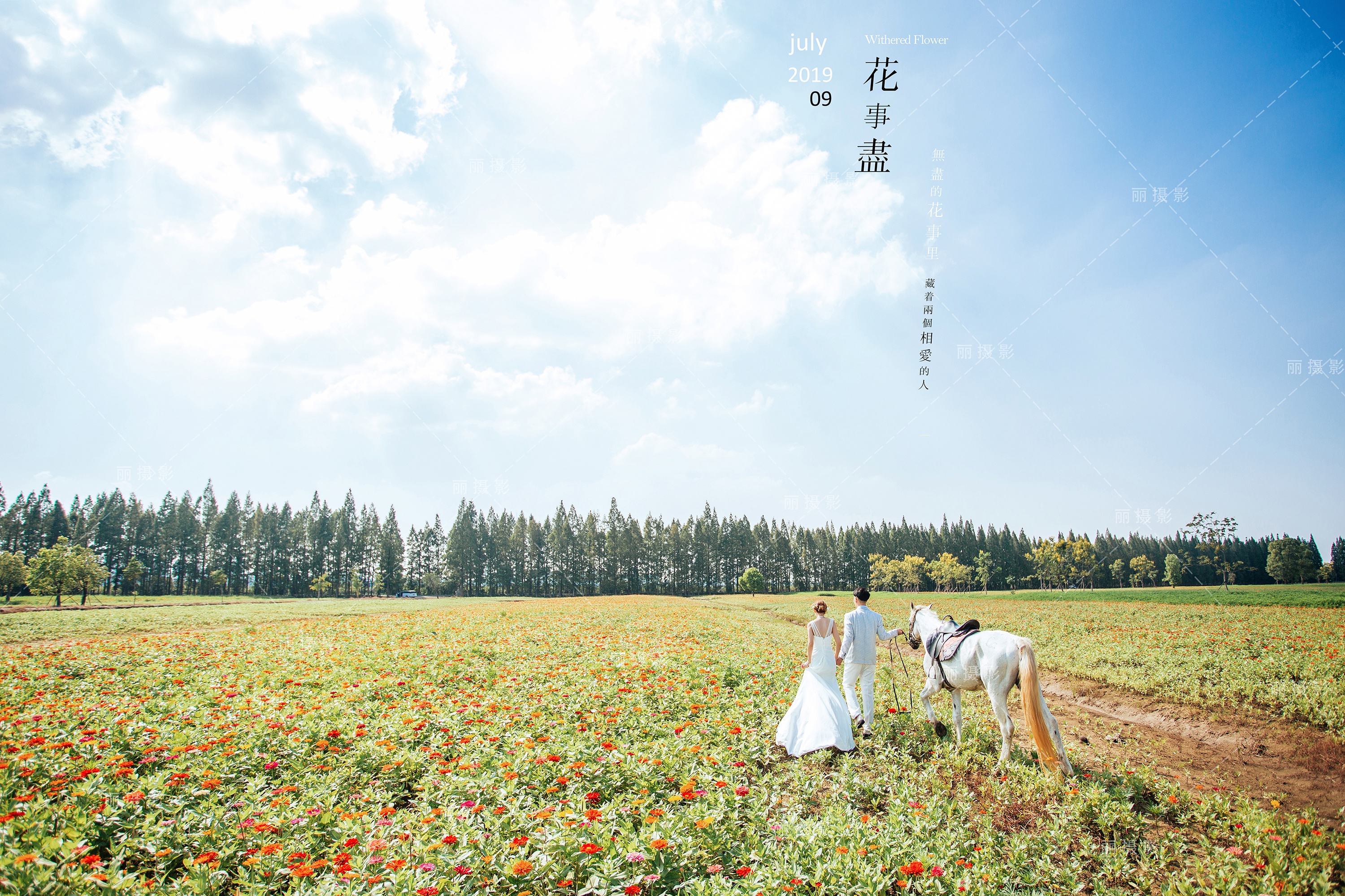 Mr束&Ms龙2